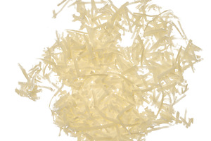 Grated light-colored hard cheese piled up on an isolated backgro, a Food & Drink Photo by ndanko