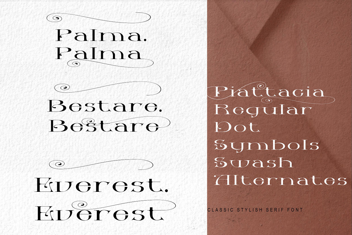 Piattacia font family, a Serif Font by greatypes studio (Photo 7 of 15)