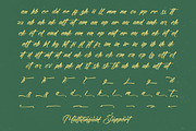Amigdal Bold Calligraphy Font, a Script Font by stylishtype.co (Thumbnail 19 of 20)