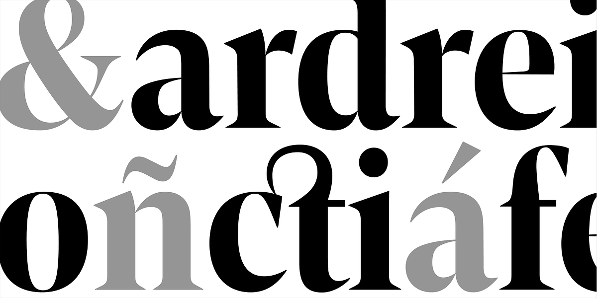 Contane Condensed, a Serif Font by Hoftype (Photo 13 of 14)