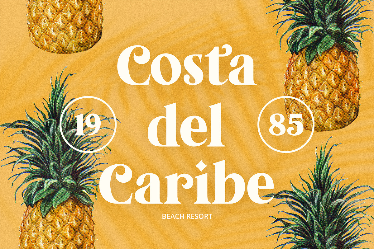 Tropical Garden font, a Serif Font by Davide Bassu (Photo 2 of 15)