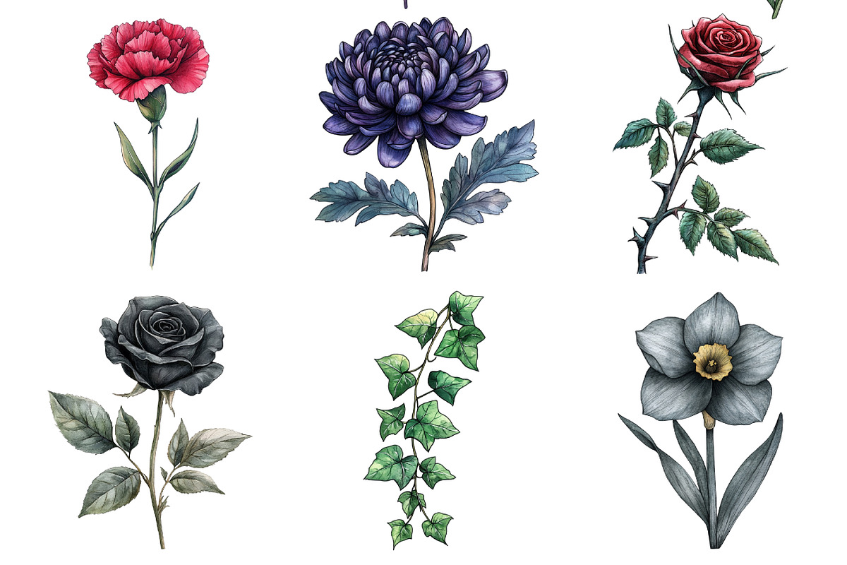 Goth Halloween Wildflowers Clipart, an Illustration by Daily.Designs (Photo 5 of 5)