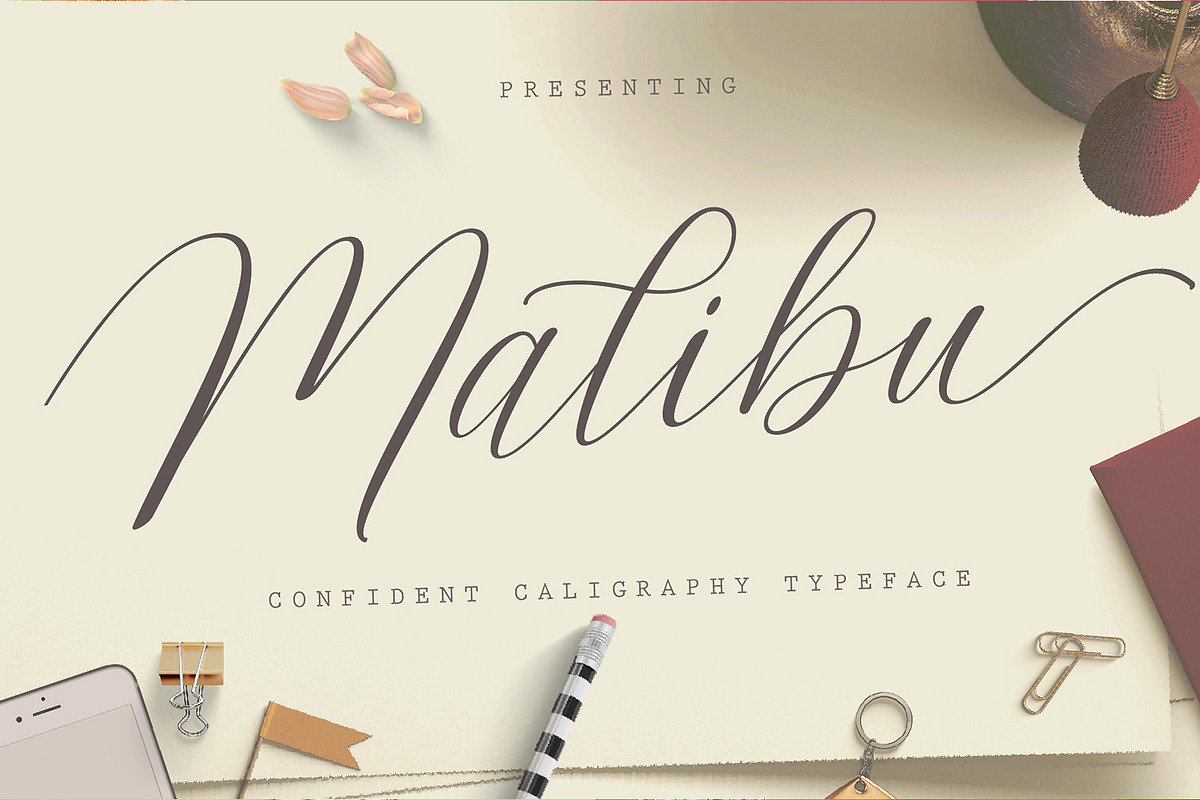 Calligrapher's Font Bundle (98%Off) preview 4