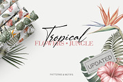 50% OFF! Tropical  jungle, a Pattern Graphic by Kotkoa (Thumbnail 6 of 11)