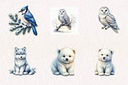 Watercolour Winter Arctic Animals, a Seasonal Illustration by CreationArt (Thumbnail 3 of 7)