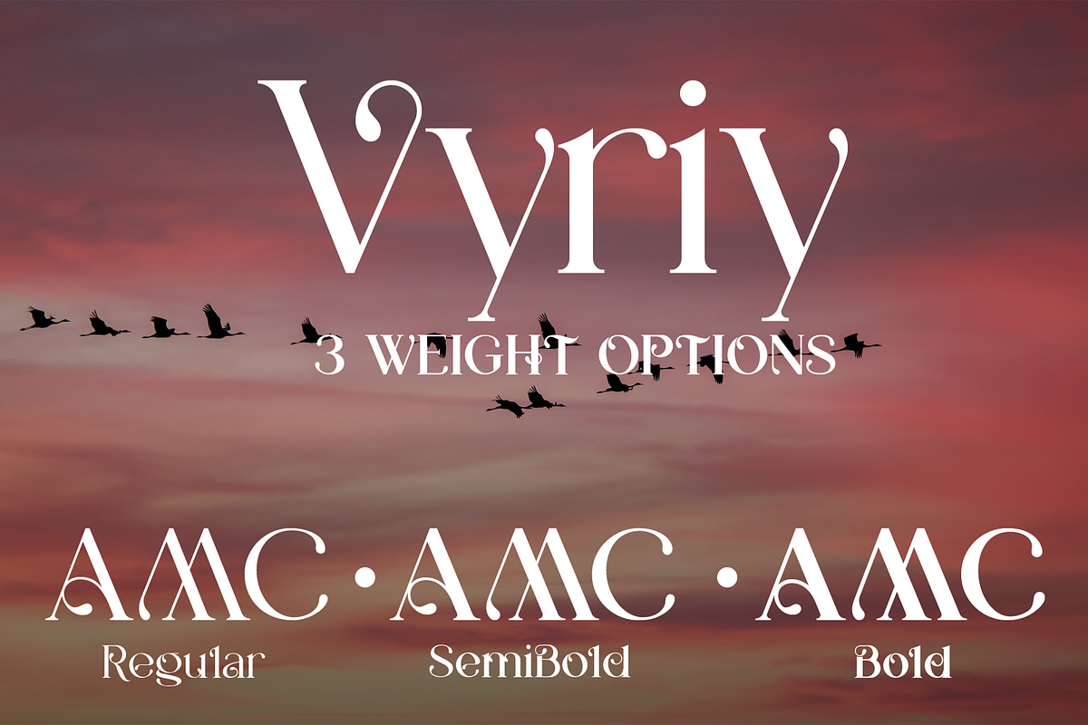 Vyriy font family, a Serif Font by vlad.berla (Photo 3 of 8)