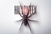 Halloween Minimalist Flyer v2, a Poster Template by Rome B Creation (Thumbnail 2 of 3)