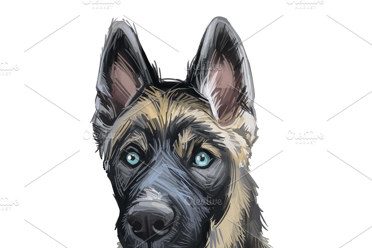 Dogs Cross Breeds 56 Animals Bundle, an Animal Illustration by Dneprstock (Photo 16 of 55)
