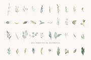 Foliage - Watercolor Leaves, an Illustration by The Autumn Rabbit Ltd (Thumbnail 2 of 8)