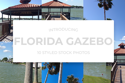 FLORIDA GAZEBO PALM TREE STOCK PHOTO, a Nature Photo by Cassie Knight Graphics