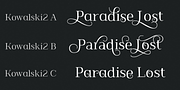 Kowalski2, a Handwritten Font by GRIN3 (Nowak) (Thumbnail 5 of 6)