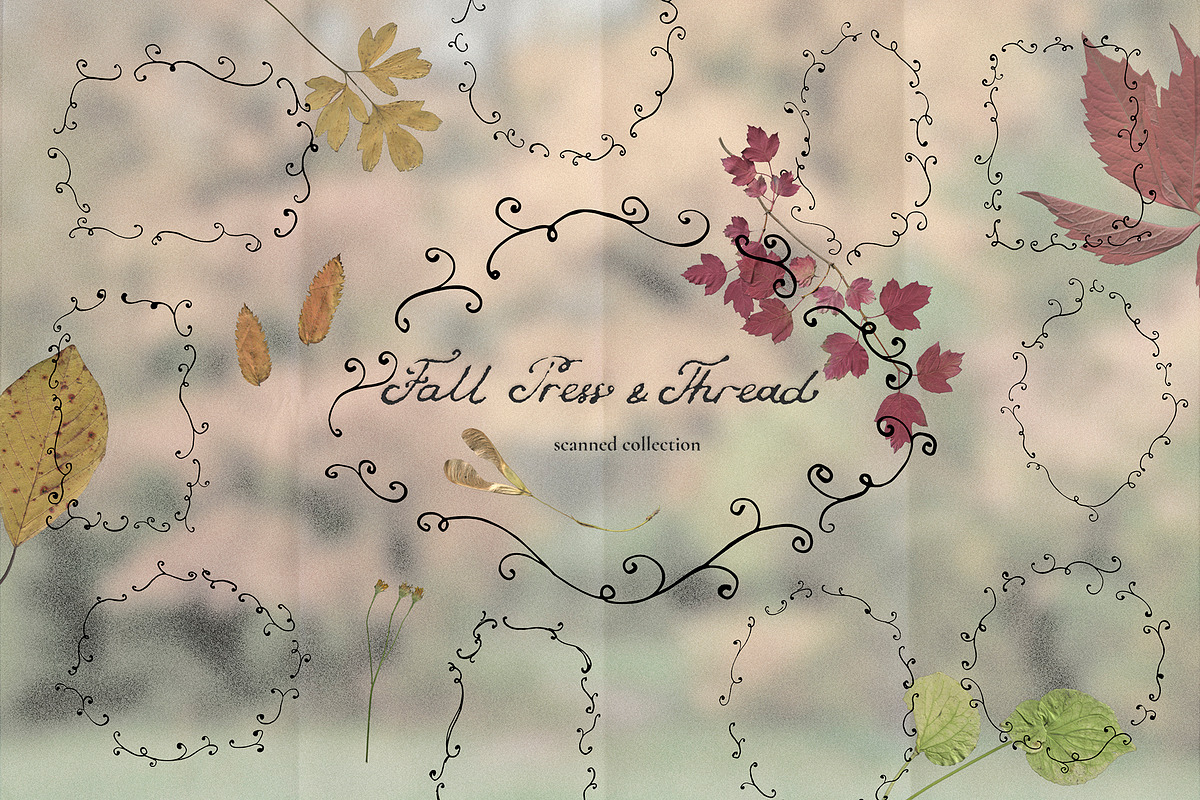 Fall Press & Thread - Collage Kit, an Object Graphic by Watercolor_Ma (Photo 4 of 10)