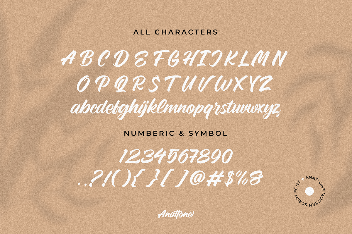Anattone - Modern Script Font, a Script Font by Lettermine (Photo 7 of 9)