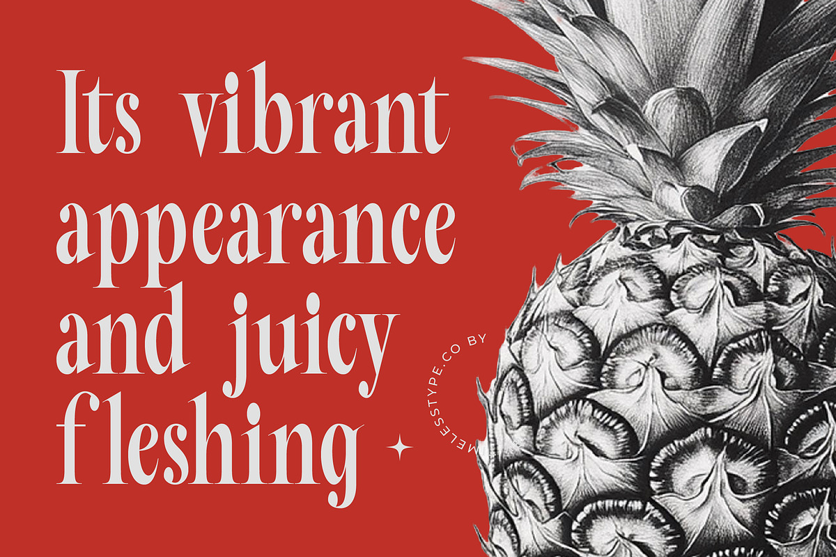 Mafian Tall Serif Display Font, a Serif Font by timelesstype.co (Photo 9 of 20)