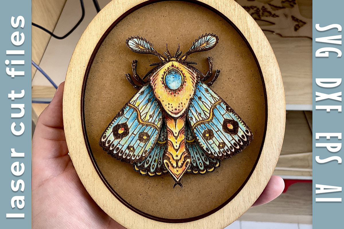 Wall decor Moth in frame laser cut, an Object Illustration by Bubert Art (Photo 1 of 5)