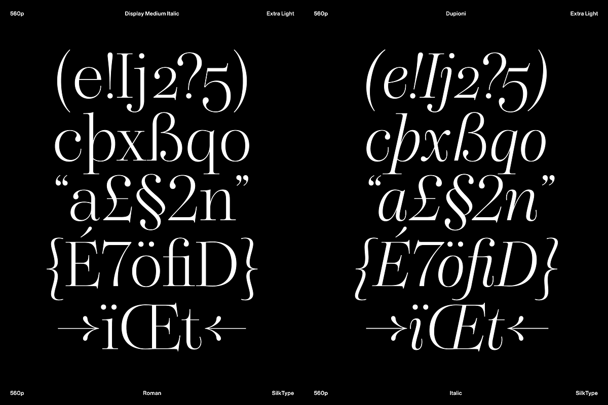 Dupioni - 6 font family, a Serif Font by Silktype (Photo 7 of 21)