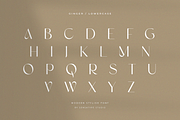 Ginger - Modern Stylish Font, a Sans Serif Font by Sensatype (Thumbnail 15 of 20)