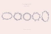 Wildflower and Insect collection, an Illustration by Hand drawn Boutique (Thumbnail 5 of 7)