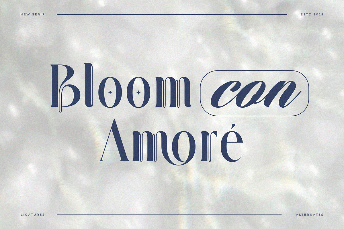 Quante – Artistic Display Serif, a Serif Font by BrandSemut (Photo 4 of 10)