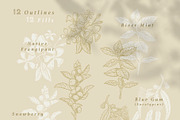 Australian Botanicals 4 in 1 Bundle, a Decorative Illustration by rouxsupplyco (Thumbnail 9 of 25)