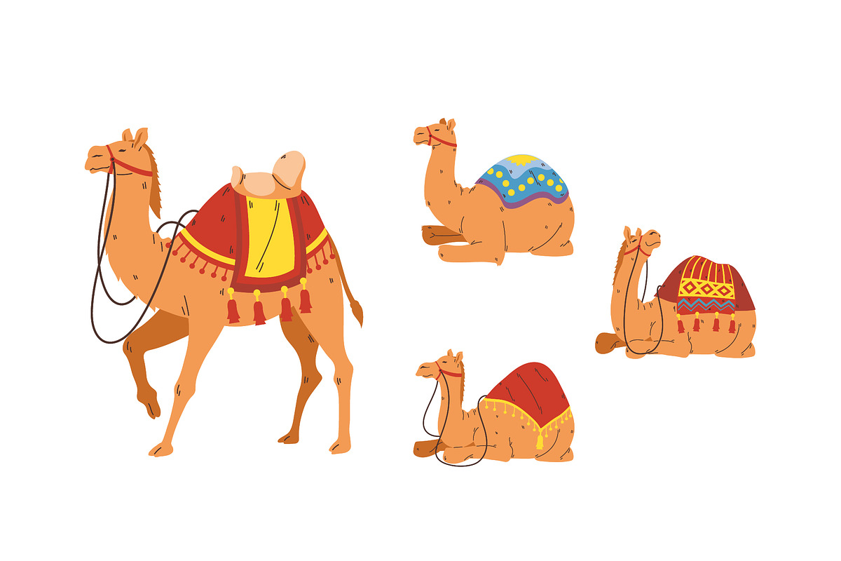 Decorative Camel Illustration Set