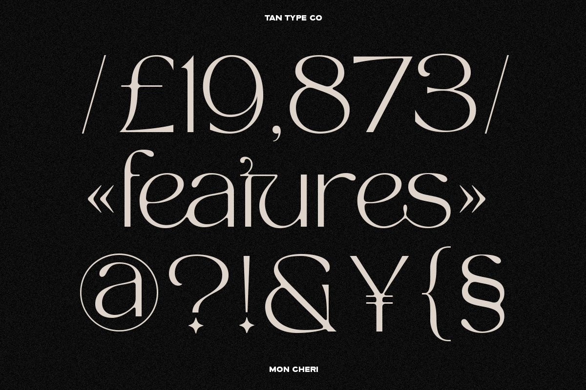 TAN - MON CHERI, a Sans Serif Font by TanType (Photo 9 of 23)