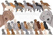 Weimardoodle. Weimaraner Poodle mix, an Illustration by pet design shop (Thumbnail 1 of 6)
