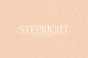 Valkirie - Classical Serif, a Serif Font by Schrifted Type (Thumbnail 4 of 8)