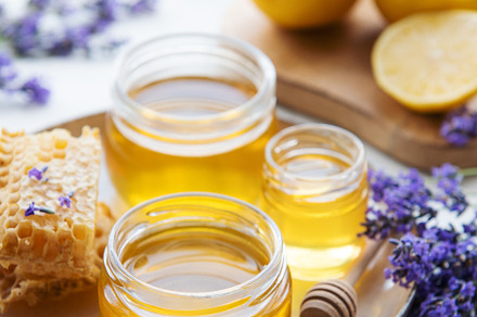 Jar with honey and fresh lavender flowers, a Food & Drink Photo by Olena Rudo