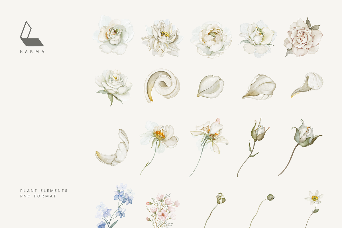 Garden Ivory Botanical Set, a Decorative Illustration by Karma (Photo 19 of 20)