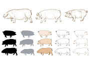 Eco pig farm, an Object Graphic by ArtOwl (Thumbnail 1 of 7)