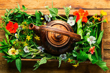 Teapot with fresh medicinal herbs, a Food & Drink Photo by MLunov MLunov