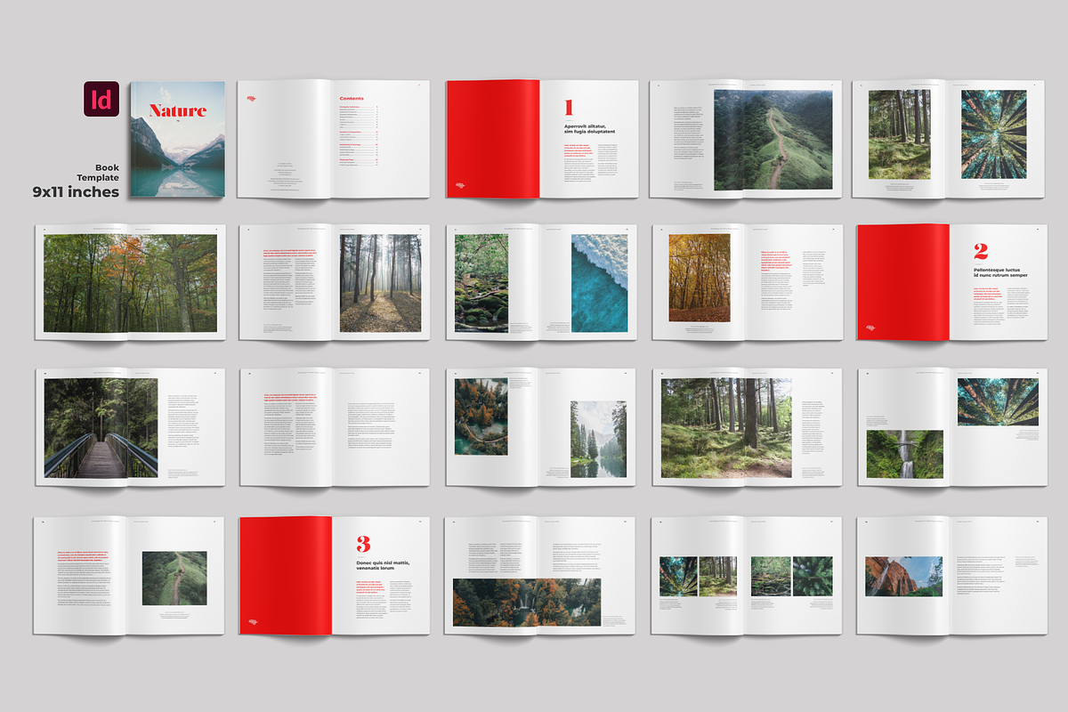 Book Template, a Templates & Theme by StockInDesign (Photo 3 of 11)