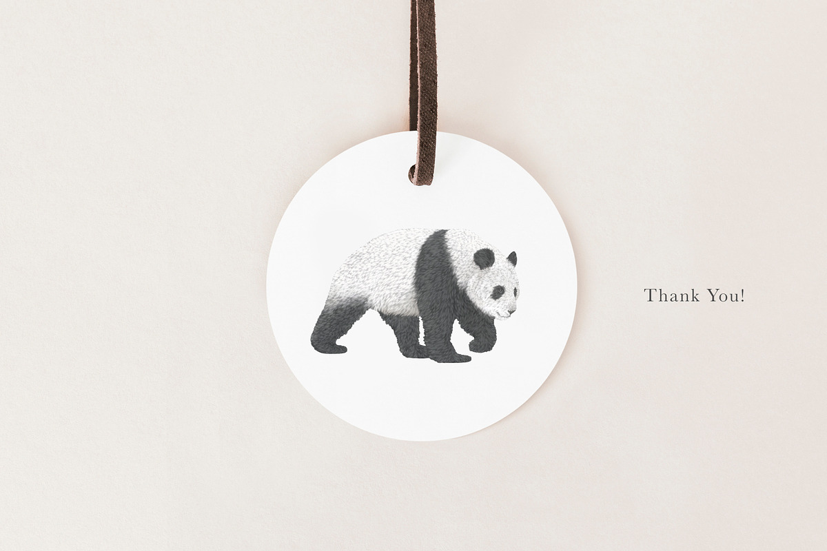 Bear Species Set - Hand-drawn PNGs, an Animal Illustration by LaurenFittonIllustration (Photo 10 of 10)