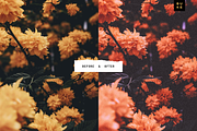 Moon Chaser – Lightroom Moody Preset, a Preset Add-On by SHOOM HOUSE (Thumbnail 5 of 8)
