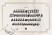 Tenshoku | Japanese Solid Brush, a Handwritten Font by Denustudios (Thumbnail 12 of 12)