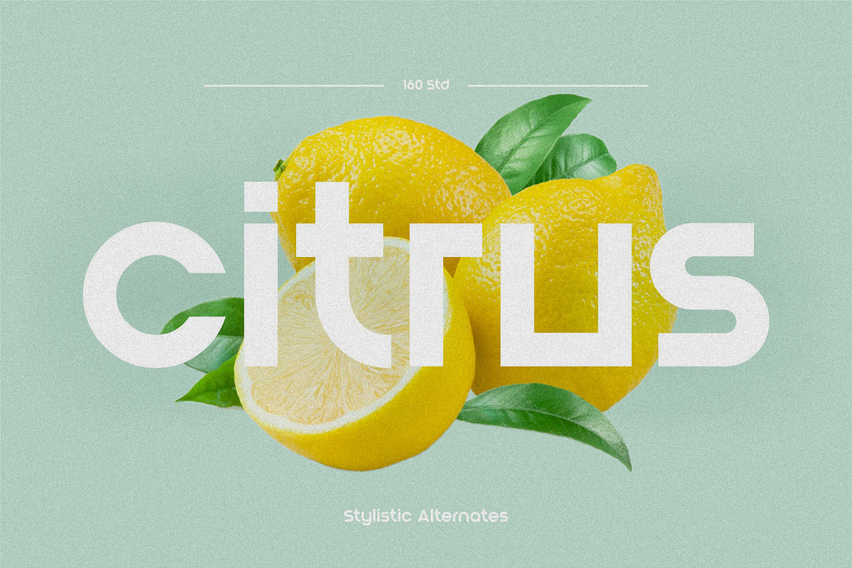 Blont | Modern & Clean Logo Font, a Sans Serif Font by 160 Studio (Photo 3 of 13)