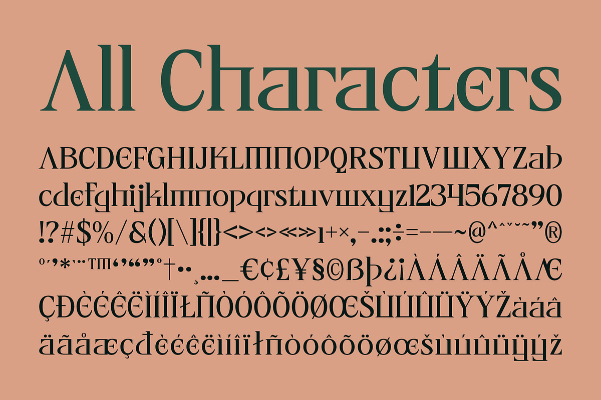 CS Alenka – Classic Font, a Serif Font by Craft Supply Co. (Photo 8 of 8)