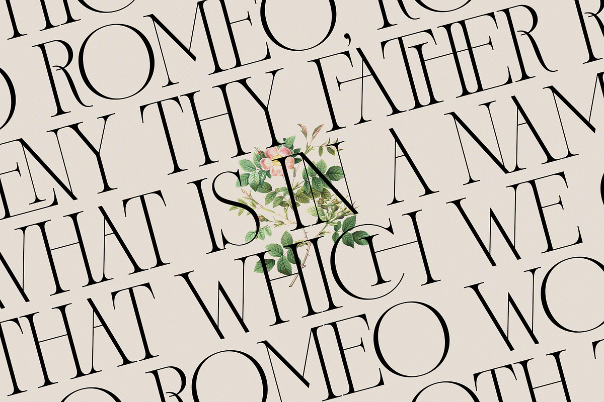 French Voyager - Chic Ligature Serif, a Serif Font by SilverStag Type Foundry (Photo 22 of 23)