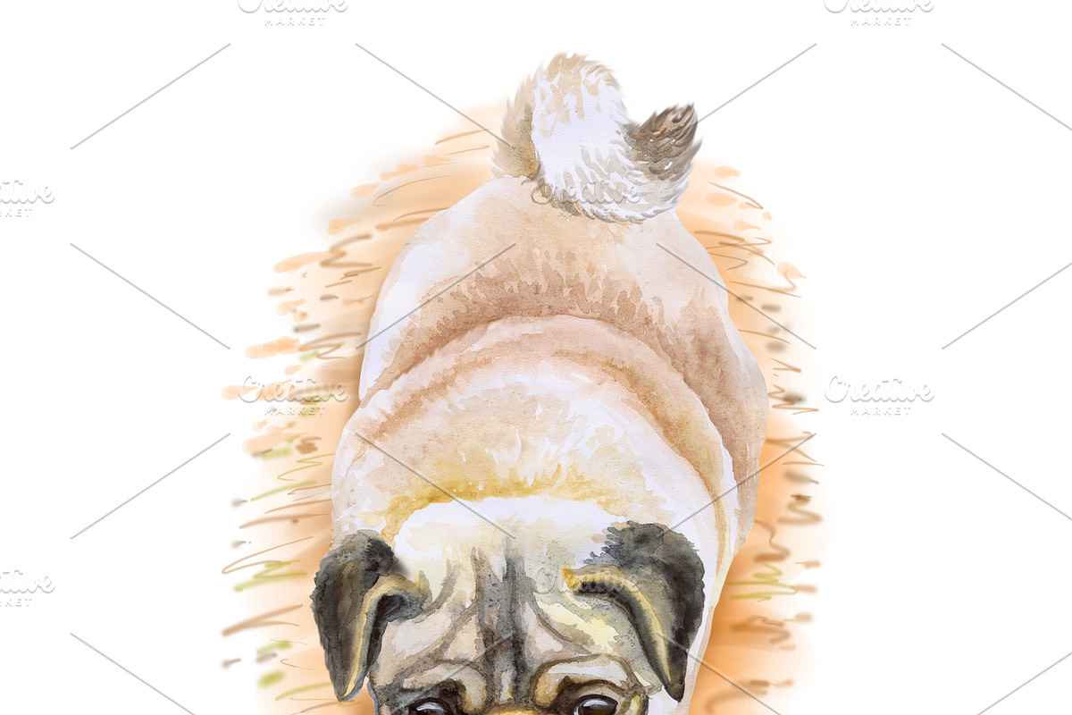 Watercolor Dogs Mega Big Bundle, an Illustration by Dneprstock (Photo 55 of 60)
