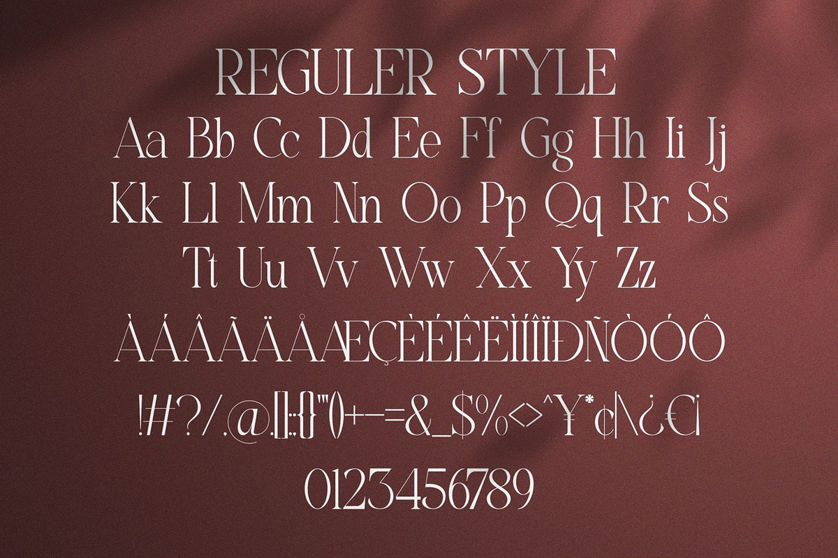 Higedra Romeni | Elegant Serif Font, a Serif Font by Ermedia Studio (Photo 6 of 10)