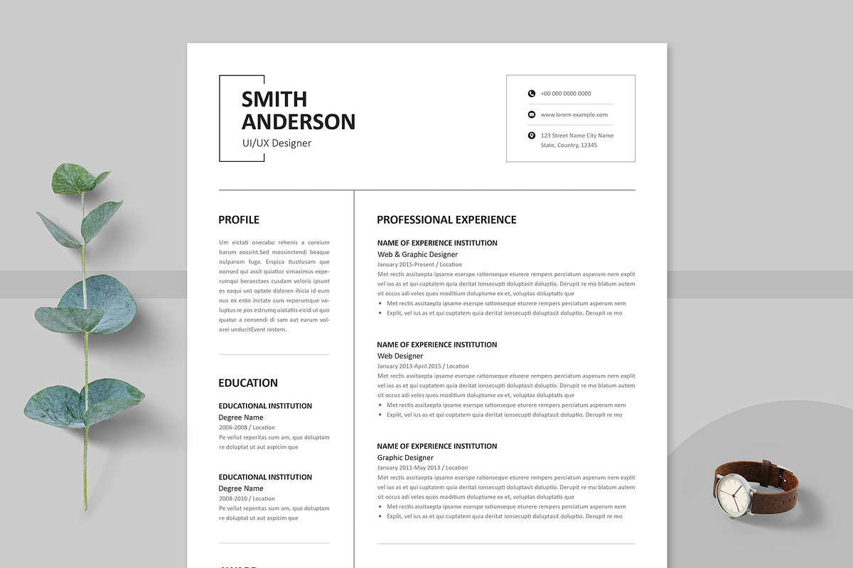 Professional Resume Template Layout preview 3
