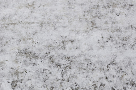Snow_2