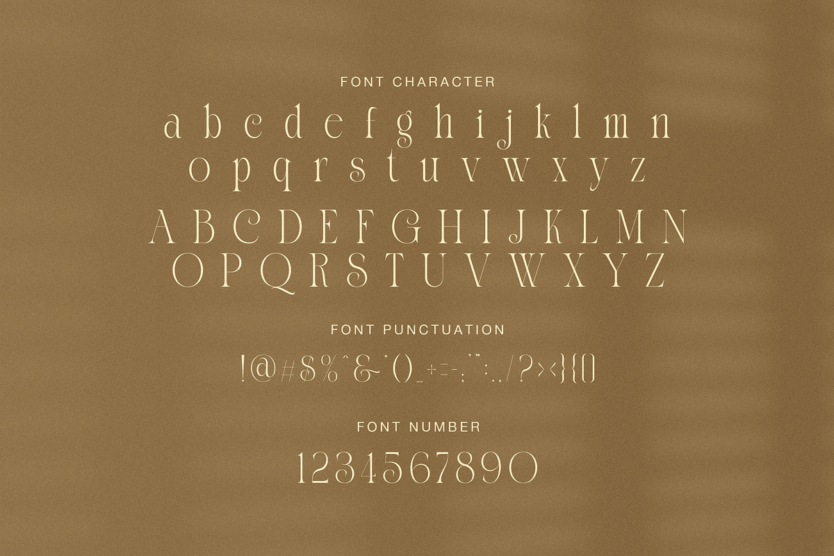 Molgin Elegant Modern Serif Font, a Serif Font by Graphicxell (Photo 7 of 8)