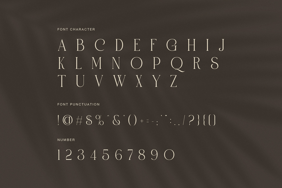 Paris Elegant Serif Font, a Serif Font by Perfectype (Photo 7 of 8)