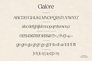 Galore - Elegant Modern Serif, a Serif Font by TypeFounder (Thumbnail 11 of 12)