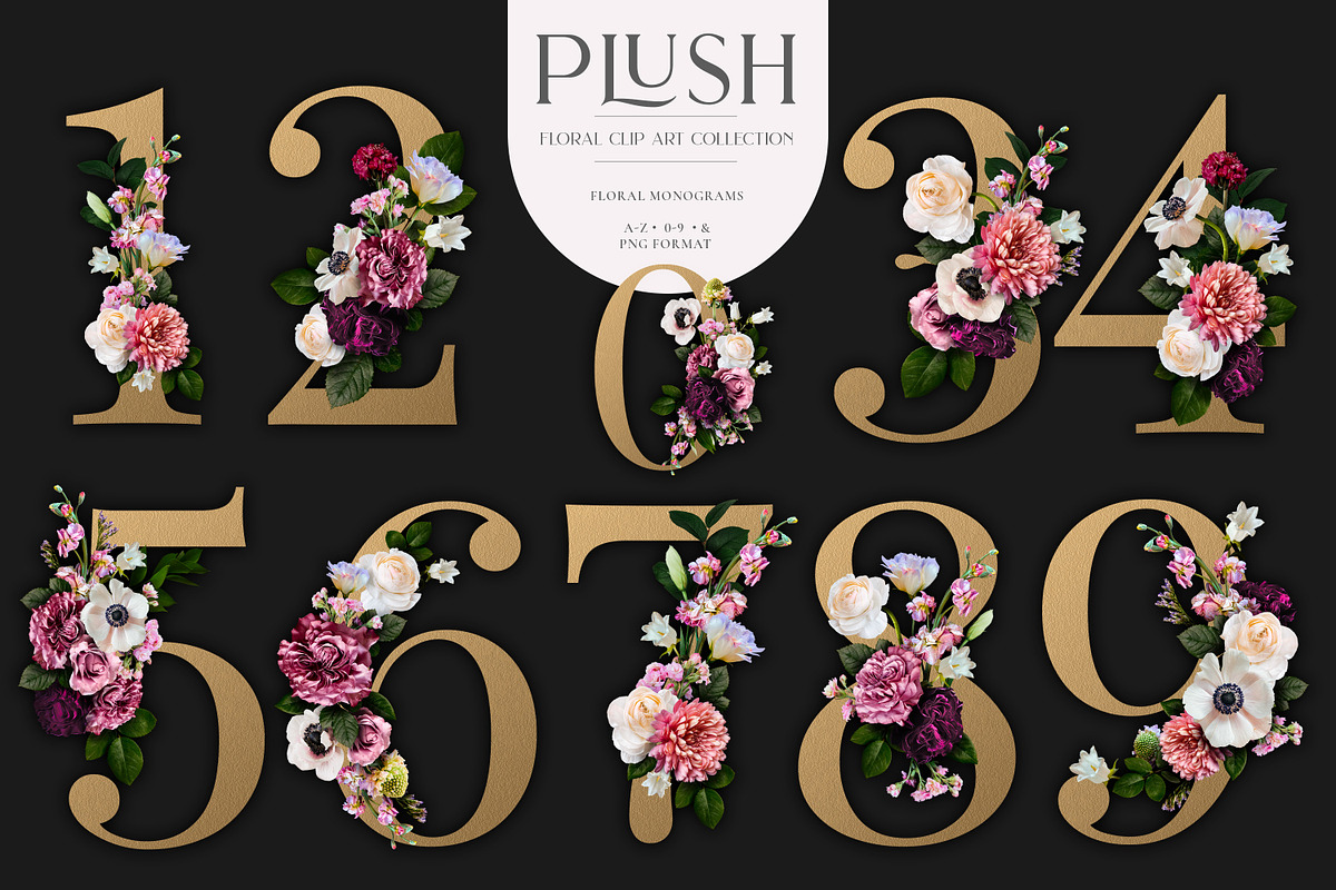 Plush Floral Clip Art, an Object Graphic by Eclectic Anthology (Photo 12 of 19)