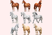Horse Clipart PNG Bundle, a Graphic by M9 Design (Thumbnail 7 of 11)