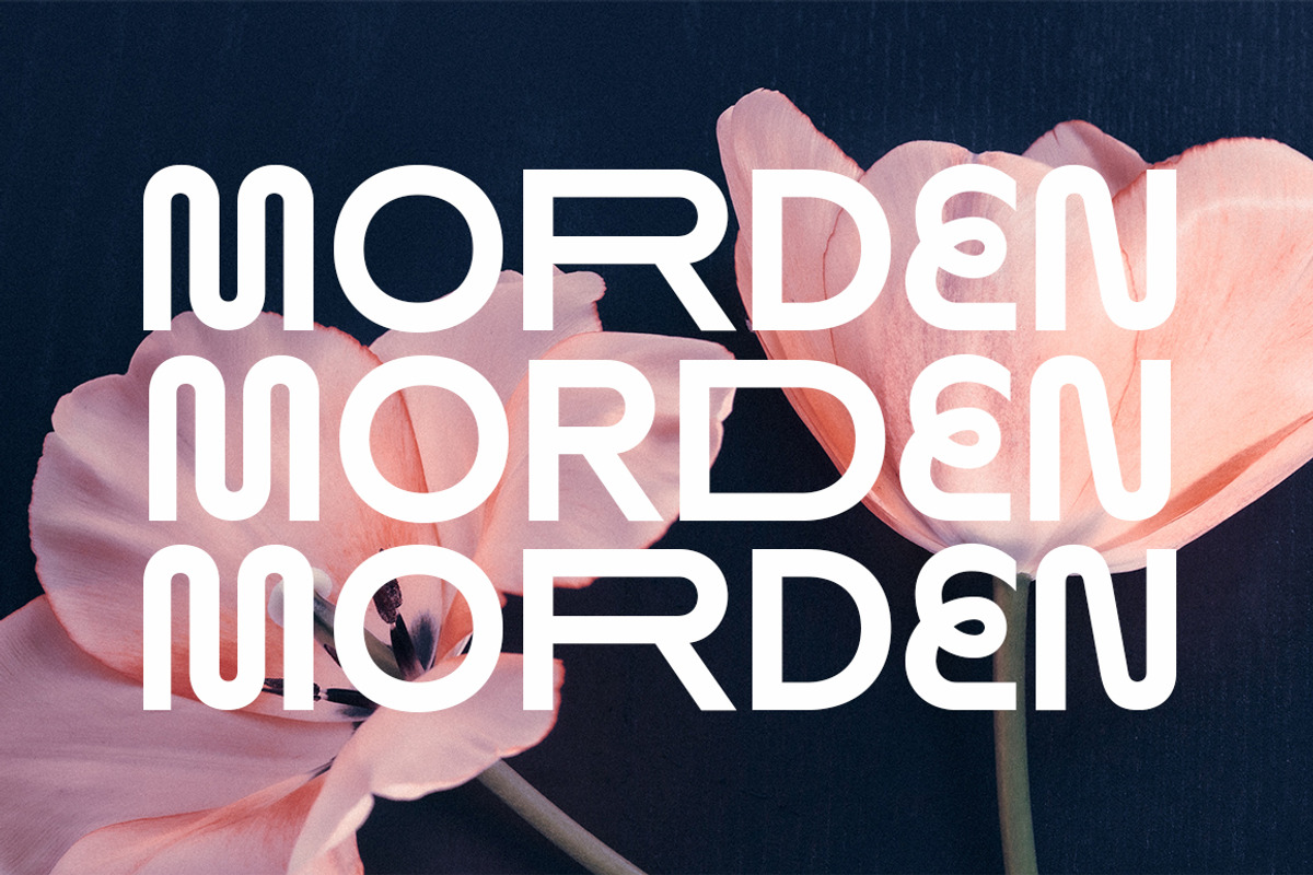 Mansure, a Sans Serif Font by Fargun Studio (Photo 5 of 15)
