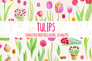 53 Bright Tulip Watercolor Clip Art, a Seasonal Illustration by Violet LeBeaux (Thumbnail 1 of 3)